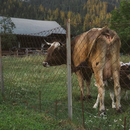 Landhaus Obervellach 헤르마고 외부 사진