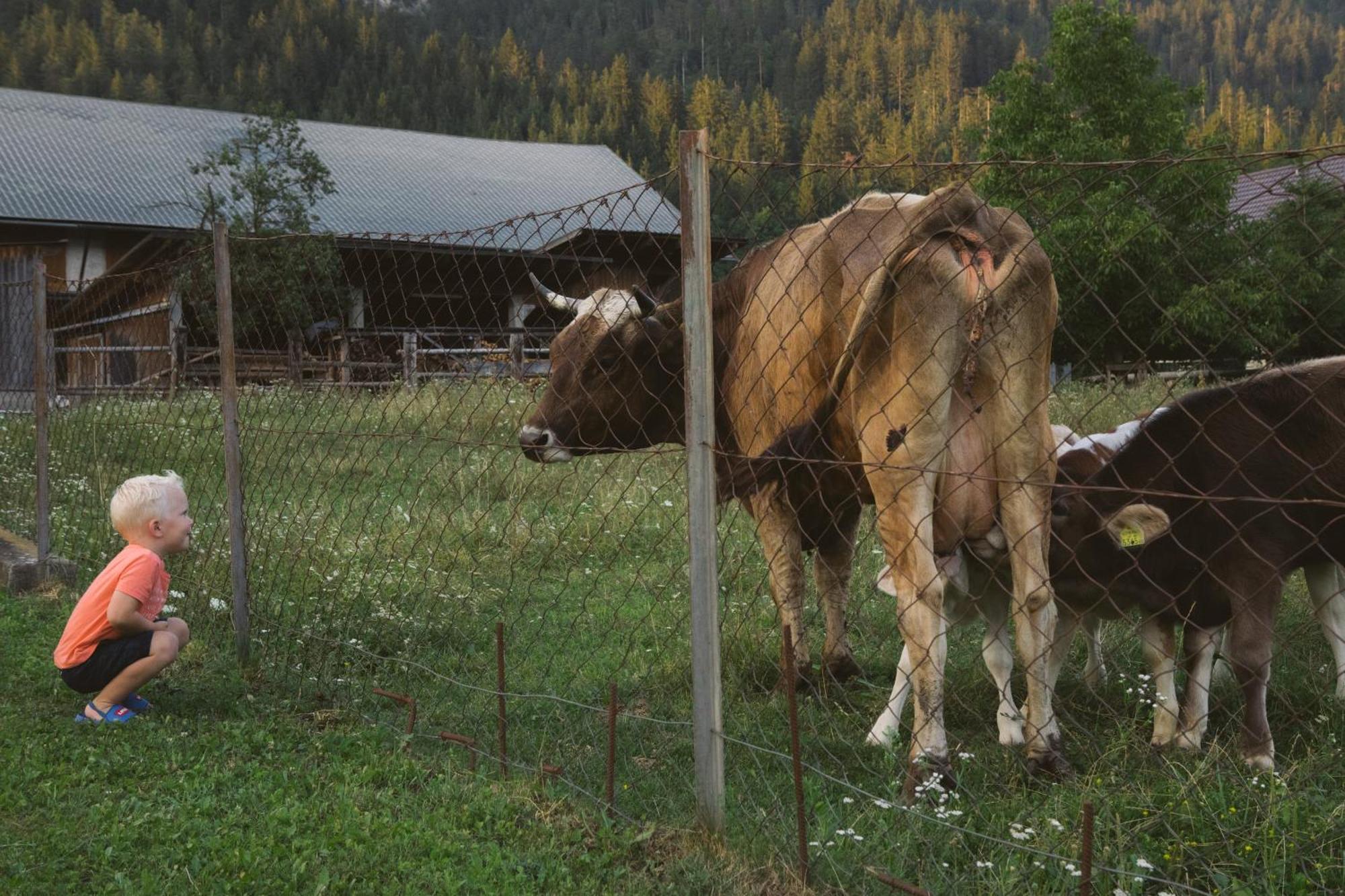 Landhaus Obervellach 헤르마고 외부 사진